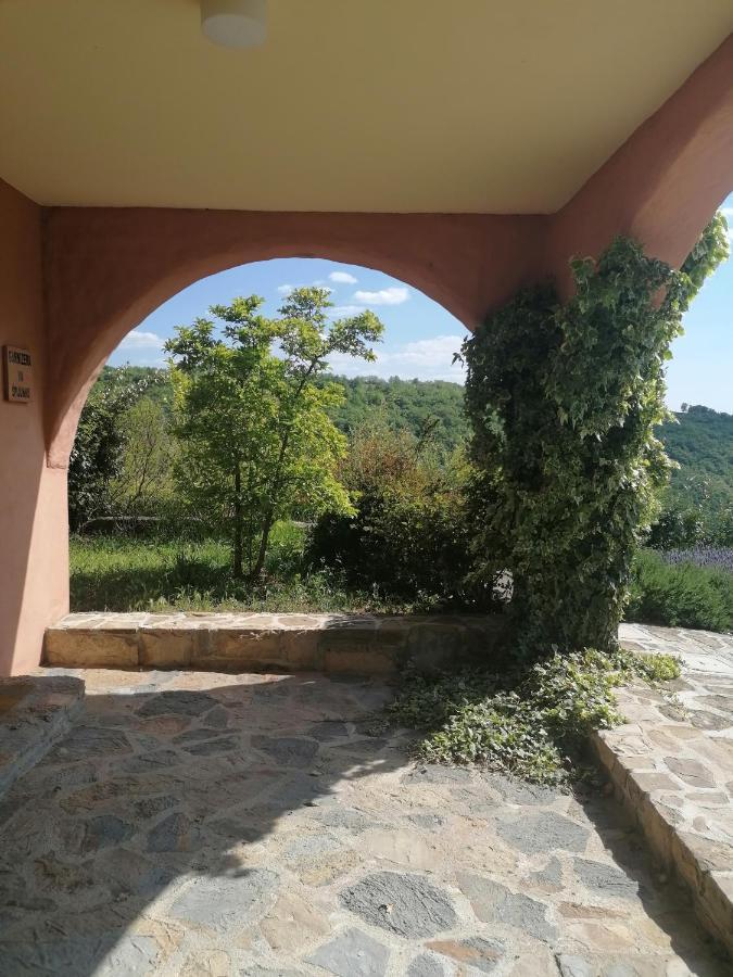 Apartma Villa Cedole Chabby Chick Pirano Esterno foto