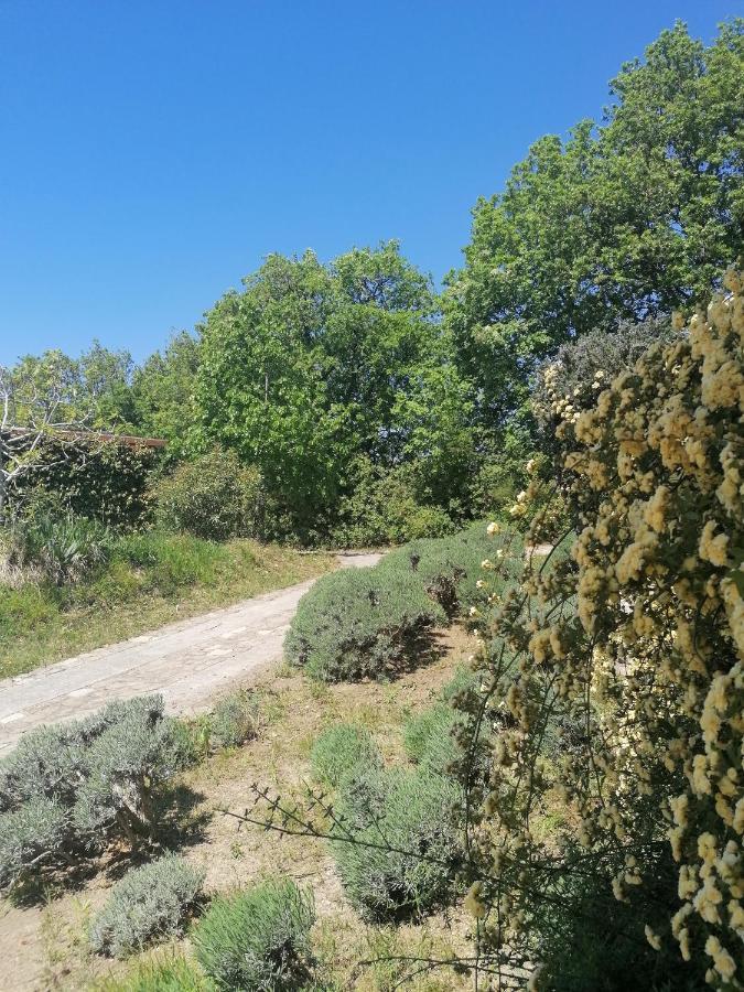 Apartma Villa Cedole Chabby Chick Pirano Esterno foto