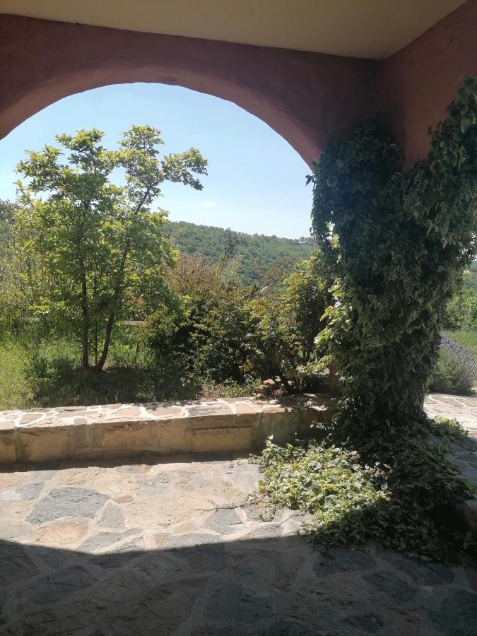 Apartma Villa Cedole Chabby Chick Pirano Esterno foto