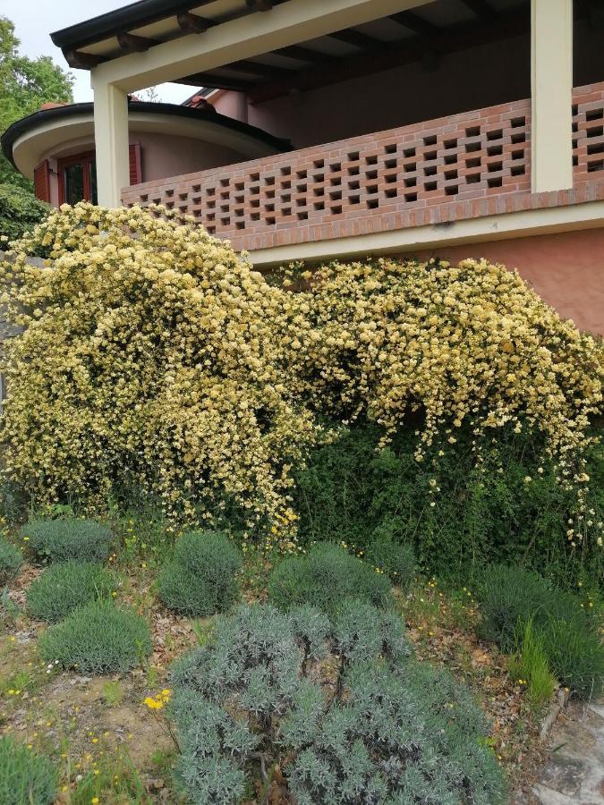 Apartma Villa Cedole Chabby Chick Pirano Esterno foto